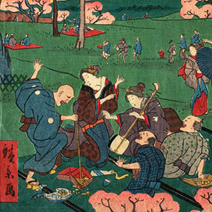 Cherry Blosson Viewing at Asuka Hill