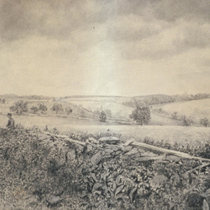 View of a Farmhouse and Fields, Albany County