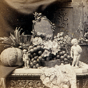 Composition of Fruit and Flowers