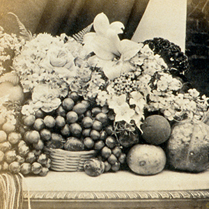Group of Fruit and Flowers