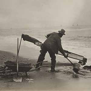 Cleaning on the Beach