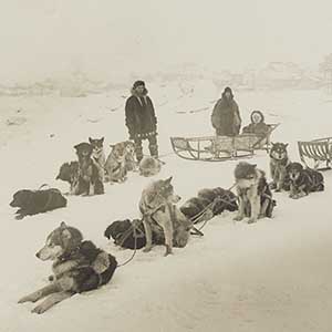 Dog Teams, Nome