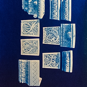 Details of Ornamental Samples with Organic Patterns