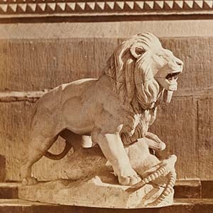 Sample Statues of Lions Protecting Their Kill Taken Outdoors