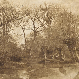 Landscape, from the "Gray Albums"