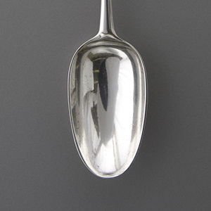 Stuffing Spoon