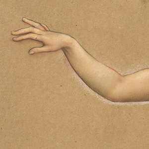 Study of a Woman's Arm