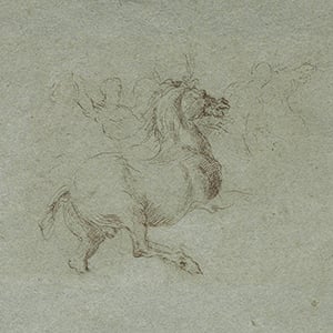 Horse and Rider