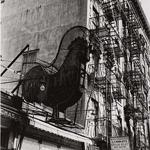 Poultry Shop, East Seventh Street, New York
