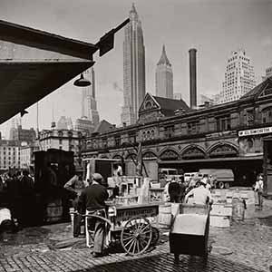 Untitled [Fulton Fish Market, New York]