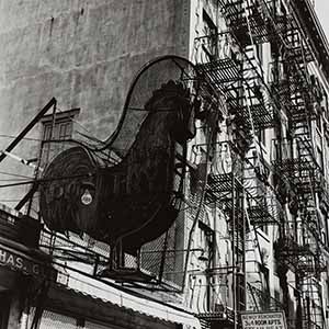 Poultry Shop, East Seventh Street, New York
