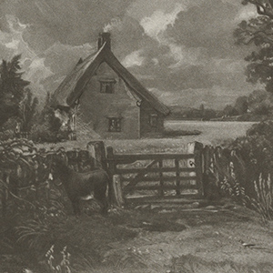 A Cottage in a Cornfield