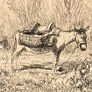 Donkey in a Field (L'Ane au Pré)