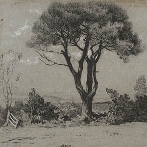 Landscape with a Tree