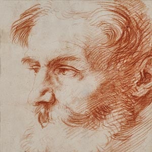 Head of a Bearded Man
