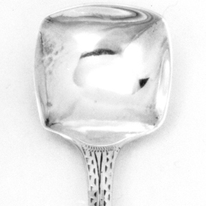 Caddy Spoon