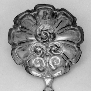 Caddy Spoon