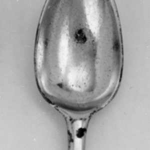 Caddy Spoon