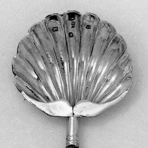 Caddy Spoon