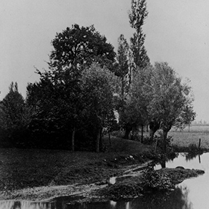 Stream and Meadows of the Moulin de Papillon, Loir et Cher (Ruisseau et Prairies du Moulin de Papillon, Loir et Cher)